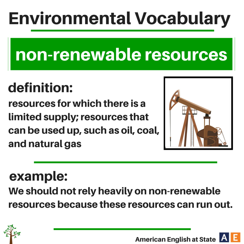 Ecology vocabulary. Environmental Vocabulary. Environment Vocabulary. Vocabulary for the environment. Vocabulary about environment.