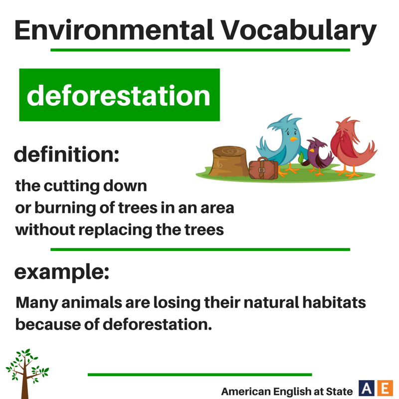 Ecology vocabulary. Environment Vocabulary. Вокабуляр по теме Environmental problems. Environmental problems Vocabulary. Environment английский язык.